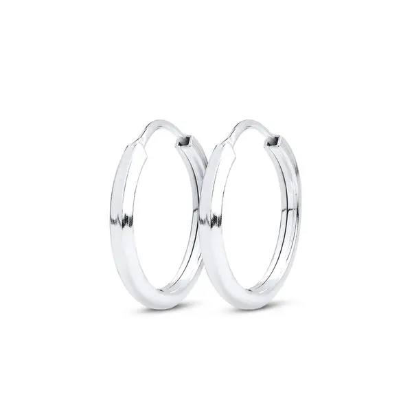 Brinco Argola Pequeno