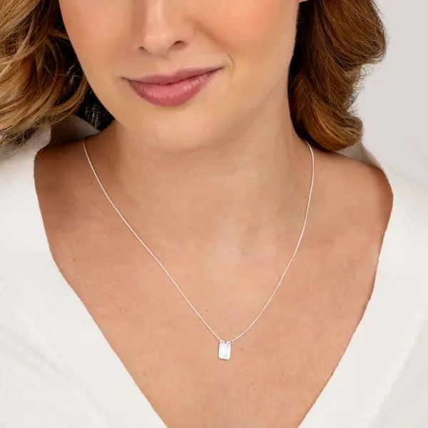 Escapulario Prata Nossa Senhora Do Carmo E Sagrado Coração De Jesus