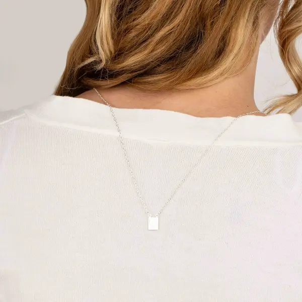 Escapulario Prata  Malha Elos Iguais   Sagrado Coração De Jesus E Sagrado Coração De Maria