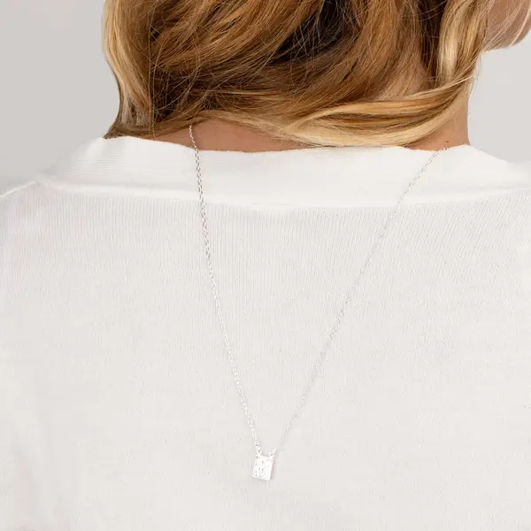 Escapulario Prata 60 cm  Nossa Senhora Do Carmo E Sagrado Coração De Jesus