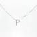 Gargantilha Prata Letra Com Zircônias 40cm Letra P