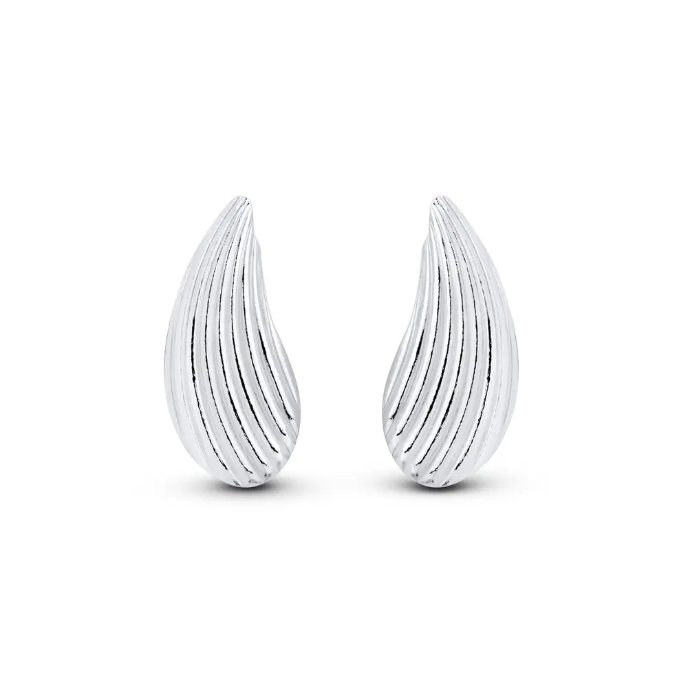 Brinco Prata com Frisos