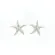 Brinco Prata Estrela do Mar