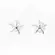 Brinco Prata Leve Estrela do Mar Lisa