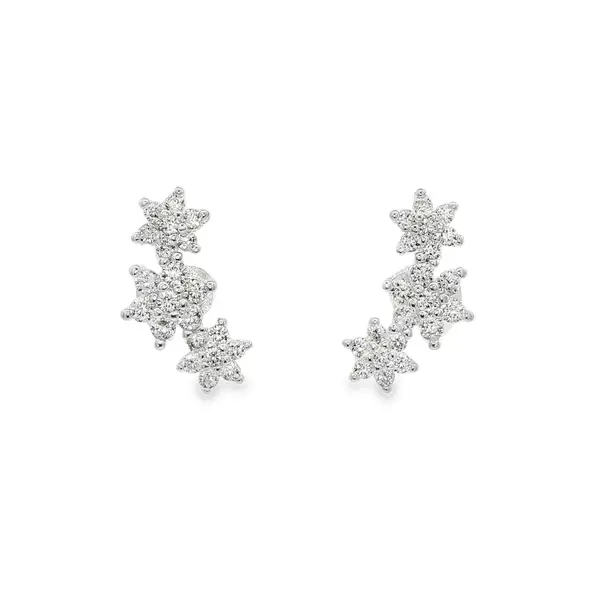 Brinco Prata Flores com Zircônias