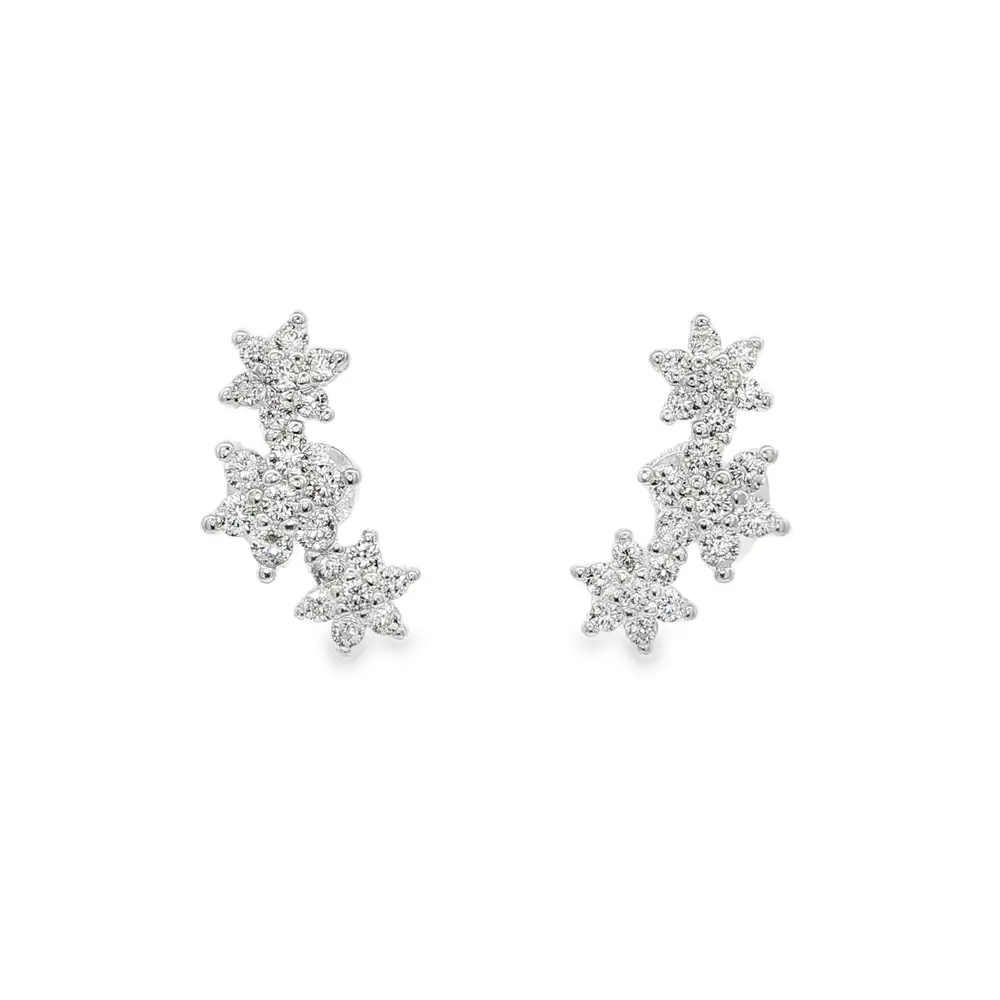 Brinco Prata Flores com Zircônias