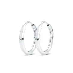 Brinco Argola Pequeno