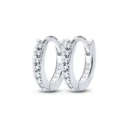 Brinco Prata Argola Com Zircônias Branca P