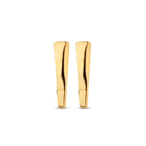 Brinco Folheado a Ouro 18k Placa Liso