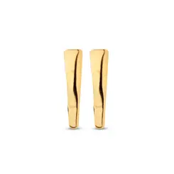Brinco Folheado a Ouro 18k Placa Liso
