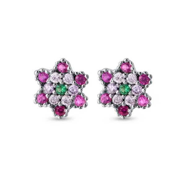 Brinco Prata Leve Flor Zircônias Coloridas
