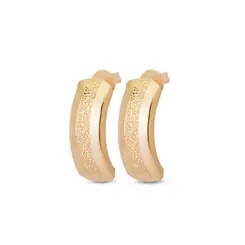 Brinco Folheado a Ouro 18k Placa com Diamantado Central